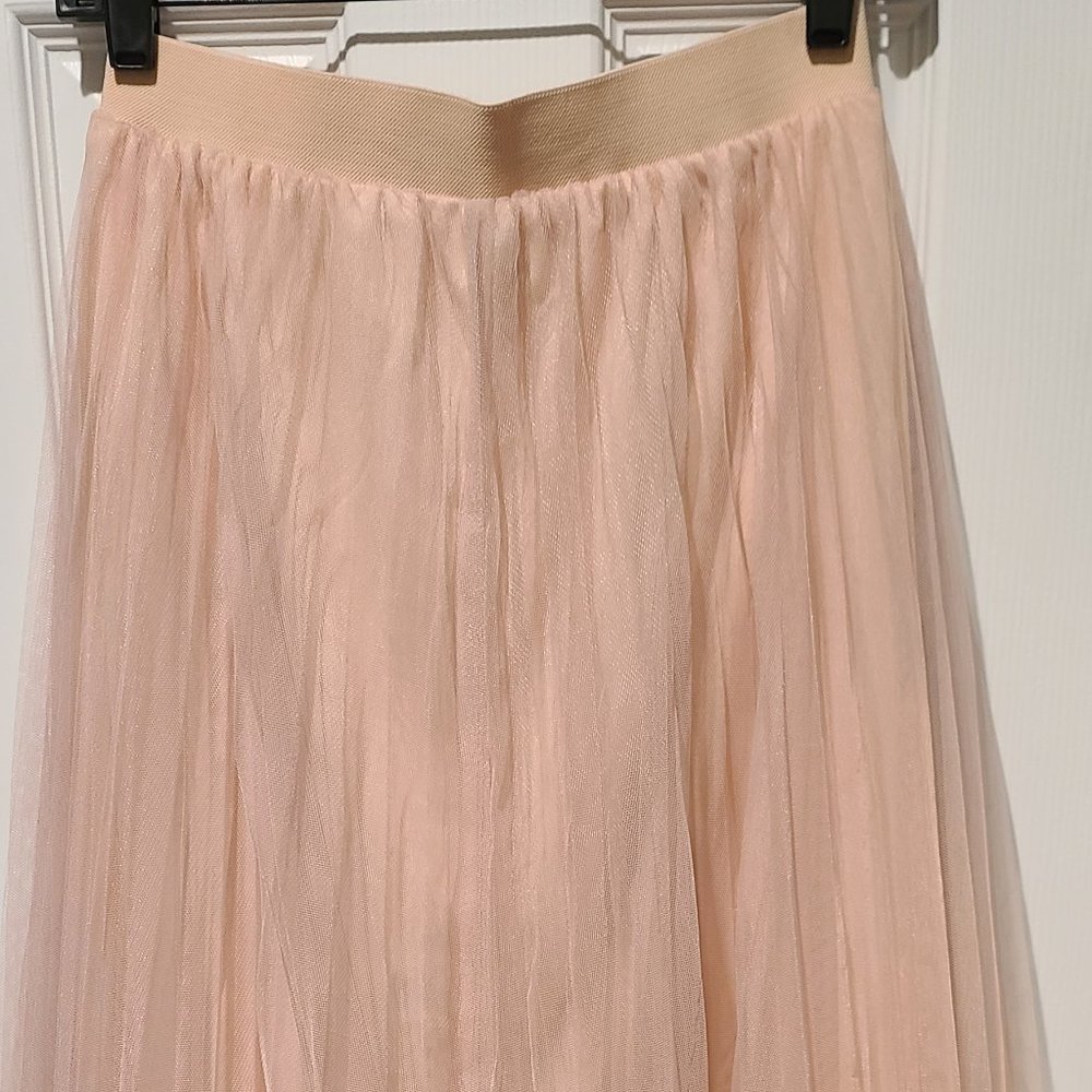 Chelsea and Violet Rose Tutu Skirt